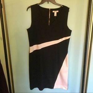 NWT black and white dress